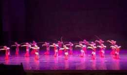 红歌舞蹈视频一等奖,绽放辉煌——红歌舞蹈视频一等奖风采展示